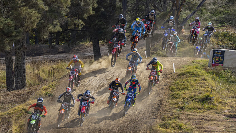 Zhang Bao Guo - Dashing-Down